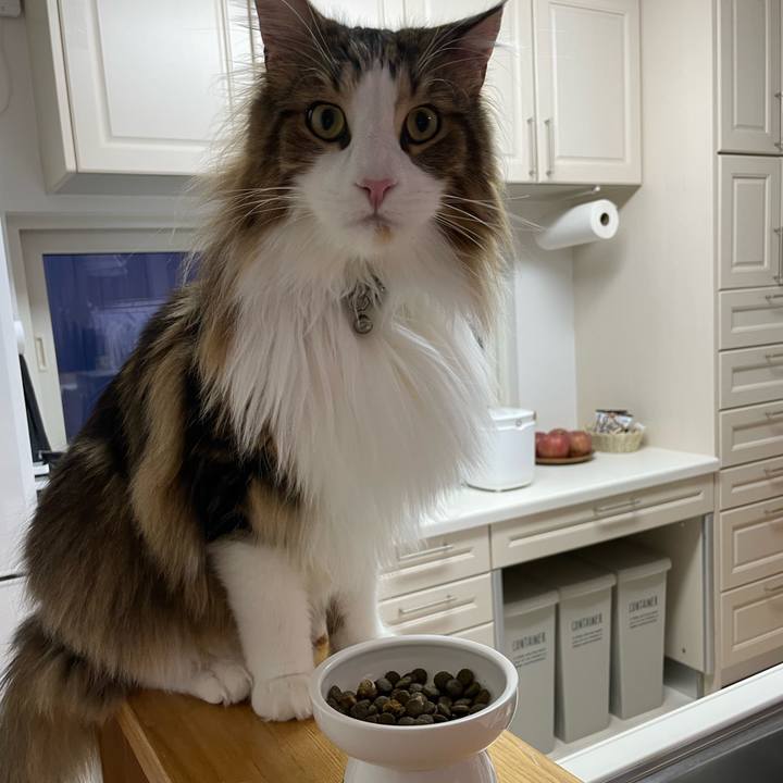 A95c53b0 6bba 4307 880a b996ba963842 1676324725597