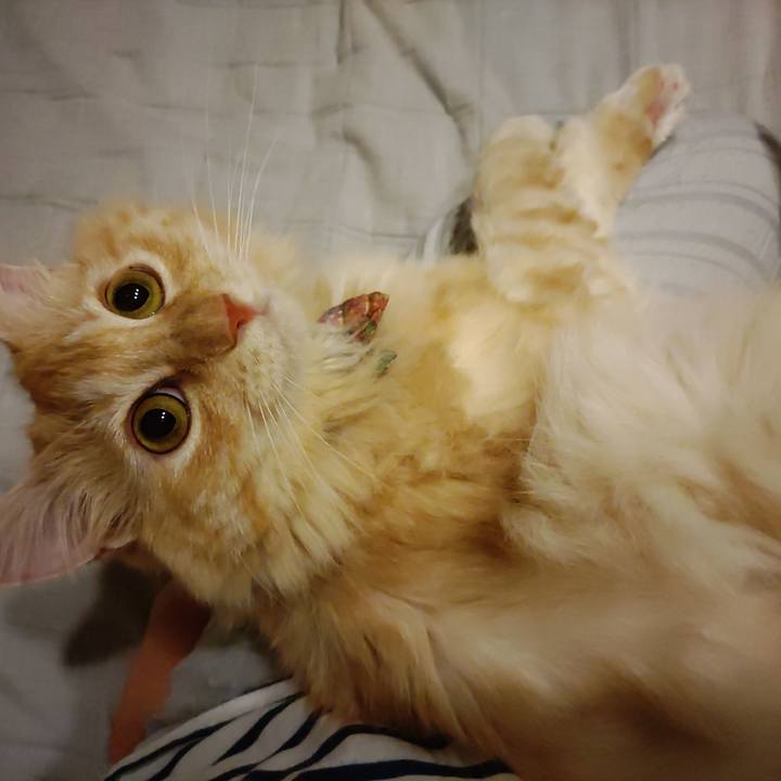 A95c8cba 653b 4b0e 956e c99ce11f2404 1660998434836