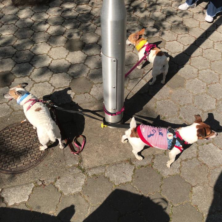 A95c91c0 15a4 4ec7 9079 98b7d3b614ff 1524318677983