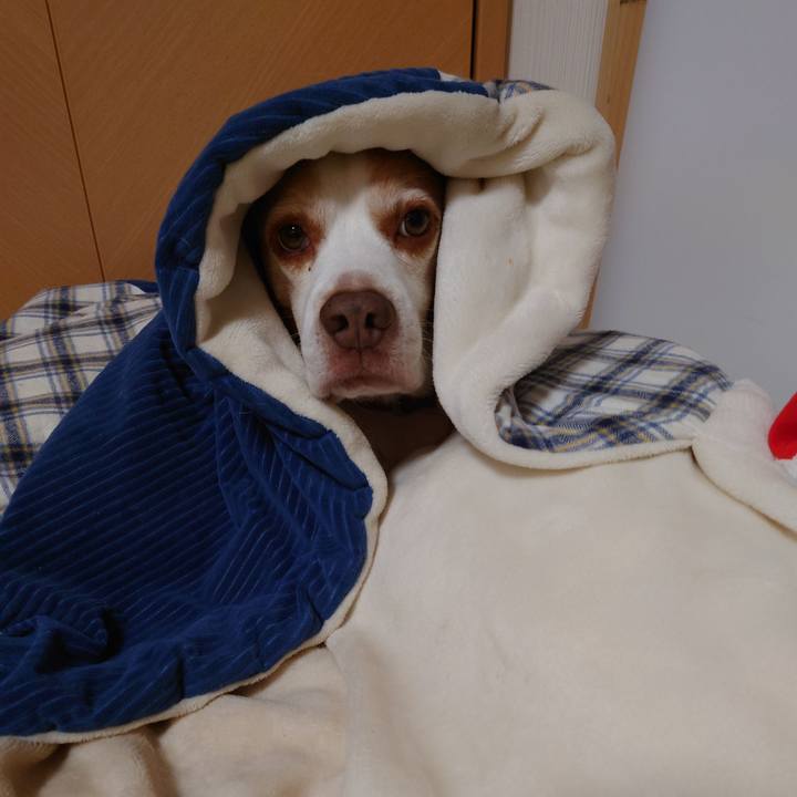 A95cd9c8 39ca 4803 82b0 558e59c74e5c 1703313881874