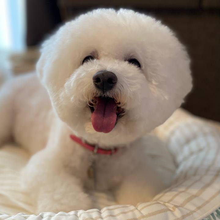 A95ce0a5 66ac 4e63 989c 58f3826454fc 1716785543983