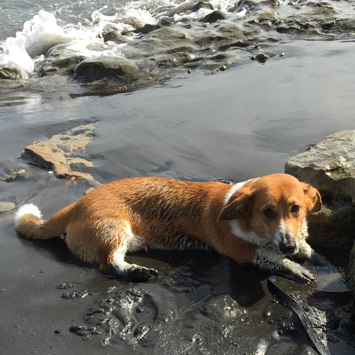 A95cf6d5 18a8 4016 9b6c 8687c4bd2592 1615344573309