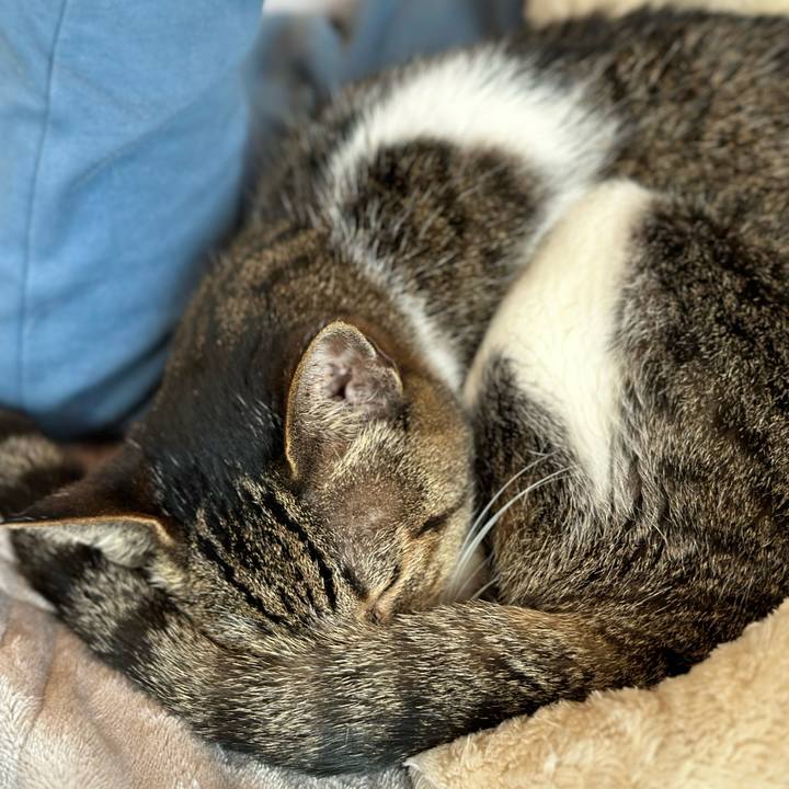 A95d5dc6 39bb 4120 a81b 5c081487a0ba 1683080242787