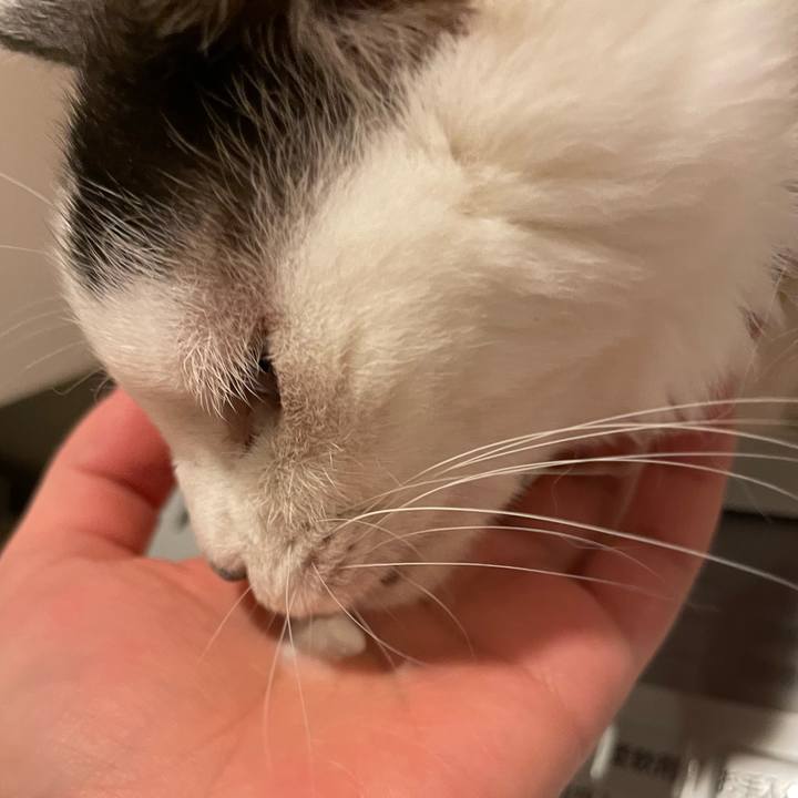 A95d7a91 e4b0 4b31 a310 cc1d2886c5b9 1752536819047