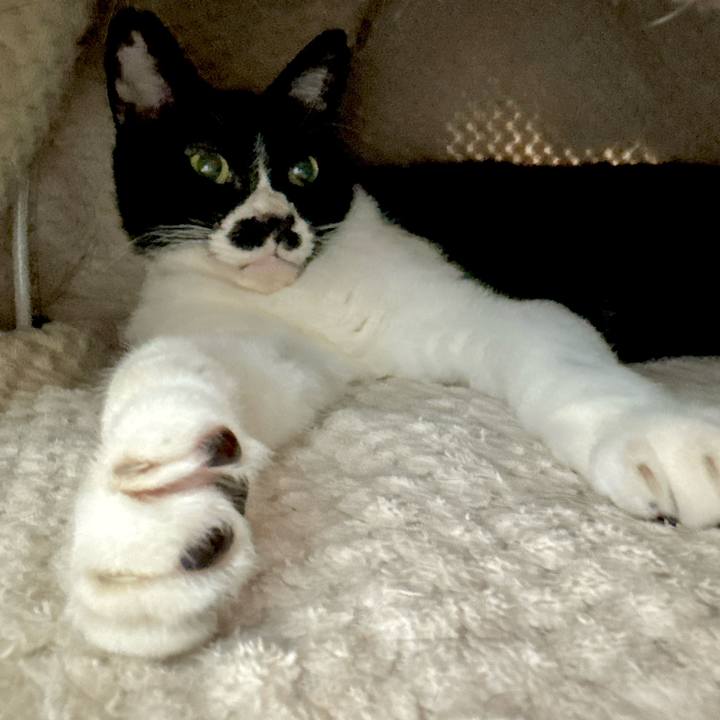 A95d9831 6a3a 4b68 8e08 e60702fbdc73 1748945150614