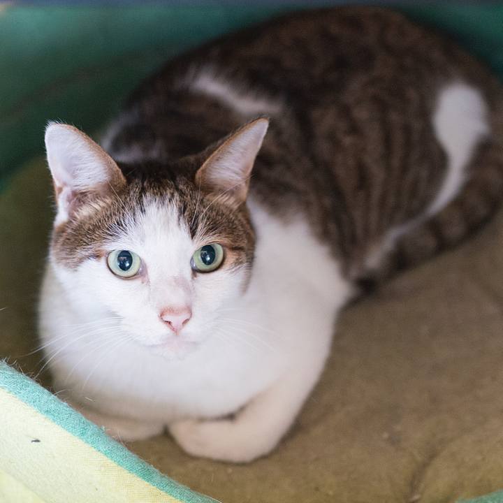 A95dbecd 61d6 4970 acb3 21ef2b3a8e0e 1536205574545