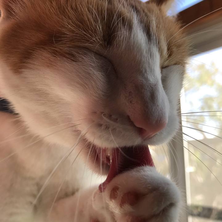 A95e505a ac7c 4c28 aca8 69e17661a49d 1509340711459