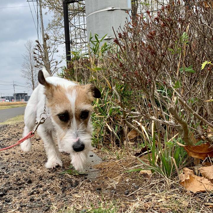 A95e7ae0 8ca8 4d30 add6 66c53ecd0adc 1616906339791