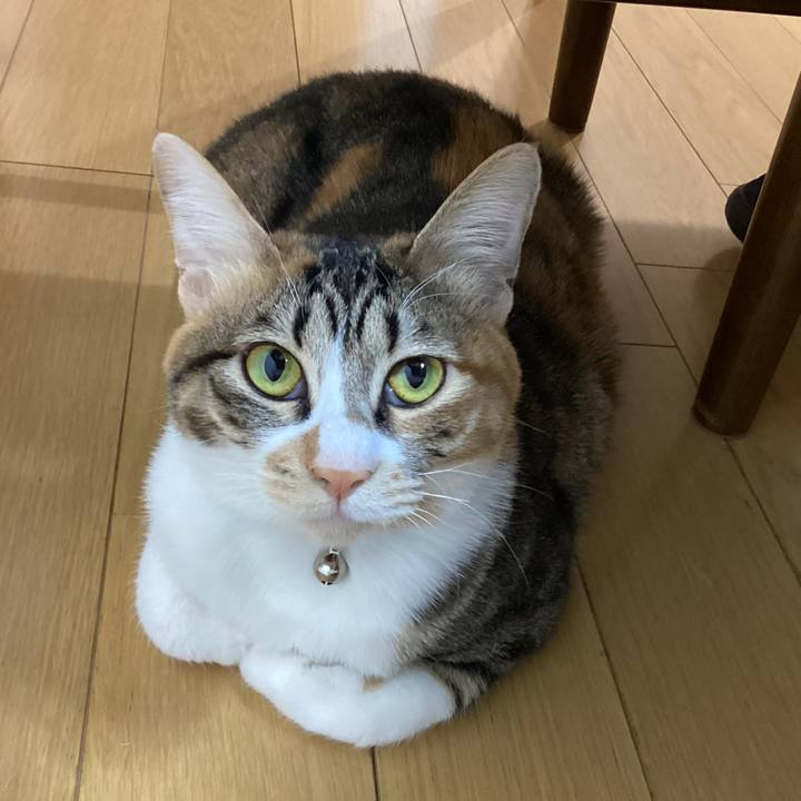 A95e7b50 9156 4f25 b91f 1825f53675d0 1674943421412