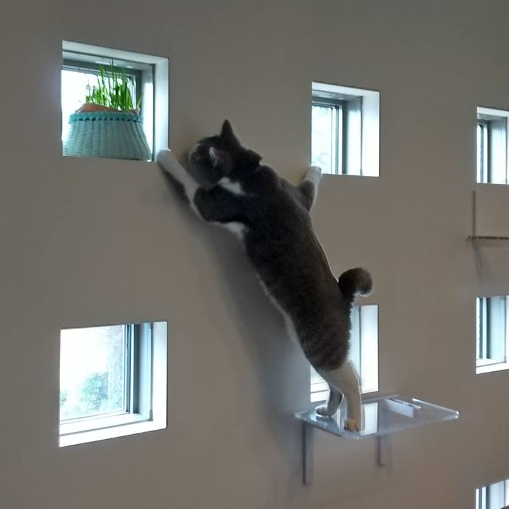 A95e8355 a400 420d 9443 6d0223de9cd1 1631415117938