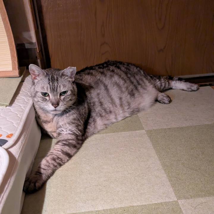 A95e9ad5 609c 45f3 a236 042448bdb913 1759511274246