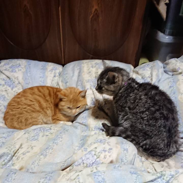 A95eb29c 68ab 4b22 8964 6e3b14d328a5 1582456629393