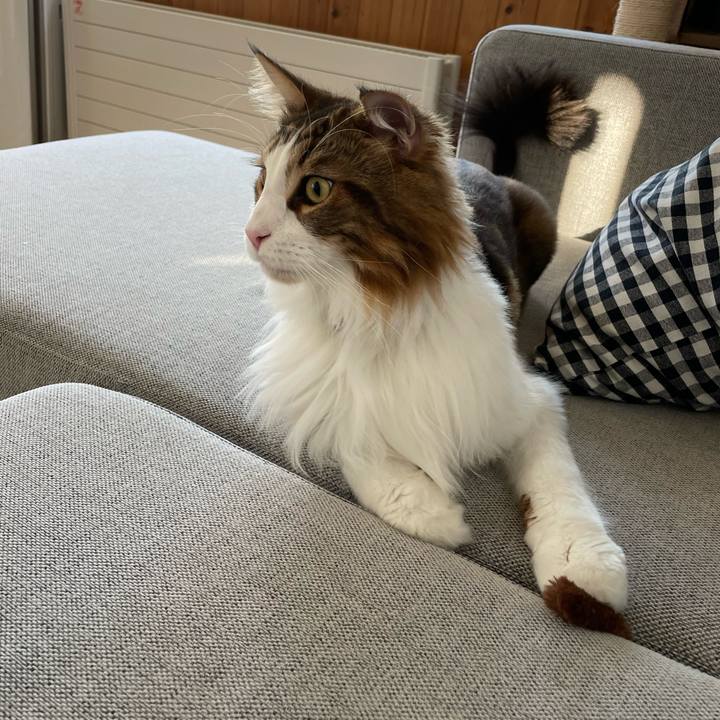 A95eb96e 5e21 4cc5 bd3c c753048dc4b4 1661721873717