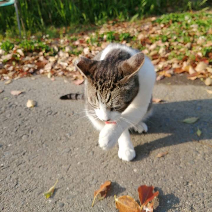 A95ec08f 4b90 4b92 a885 bdc657bf9dd9 1617851999316