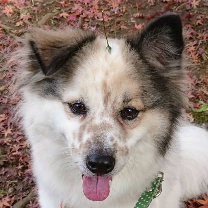 A95ed054 1539 4ebd 9022 63641468fee9 1590754035700