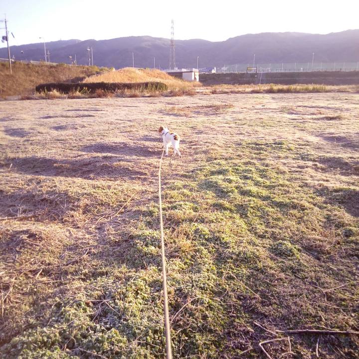 A95efb57 9890 416c 9acf 0e1be0d58e56 1513214543374