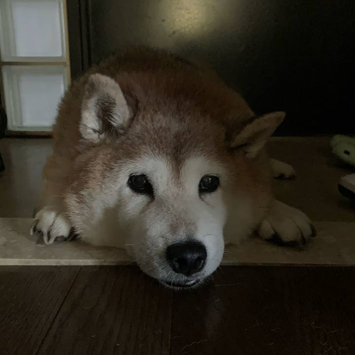 A95f2ce0 95c3 43ed 942d 917082a1c500 1620650744975