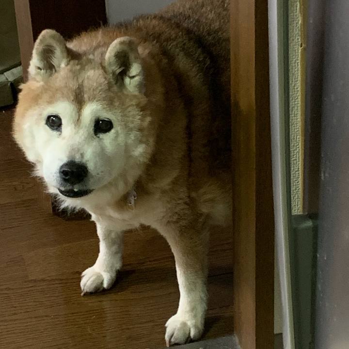 A95f45e6 d7d8 4ce8 b031 07afa31682b2 1672754874588