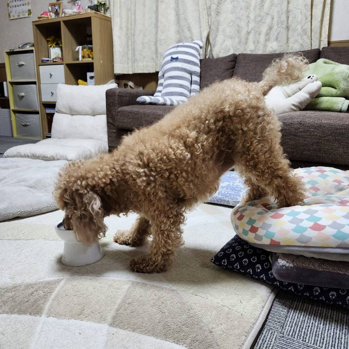 A95f5867 f52b 45e3 b14b 14be587ba5be 1763075835643