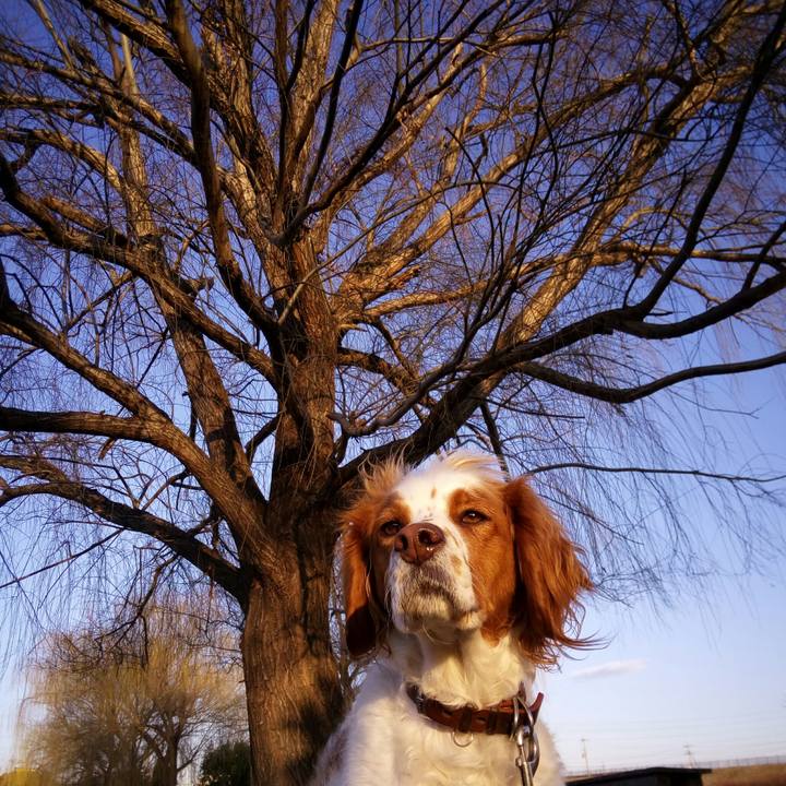 A95f6d18 b02d 42d3 b977 e3a45074bb73 1517965383419