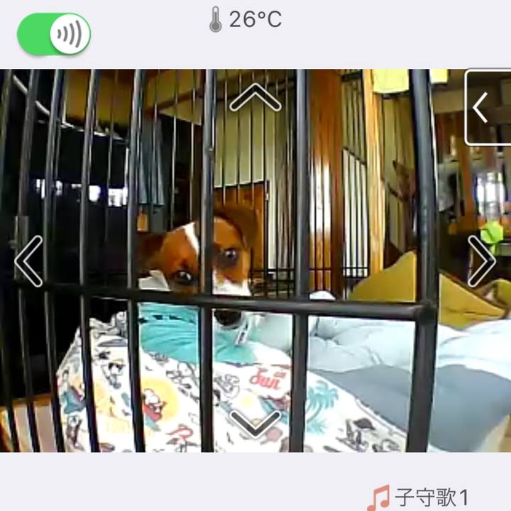 A95f8221 ec95 42a5 b4d1 3b25e08412a4 1533263928521