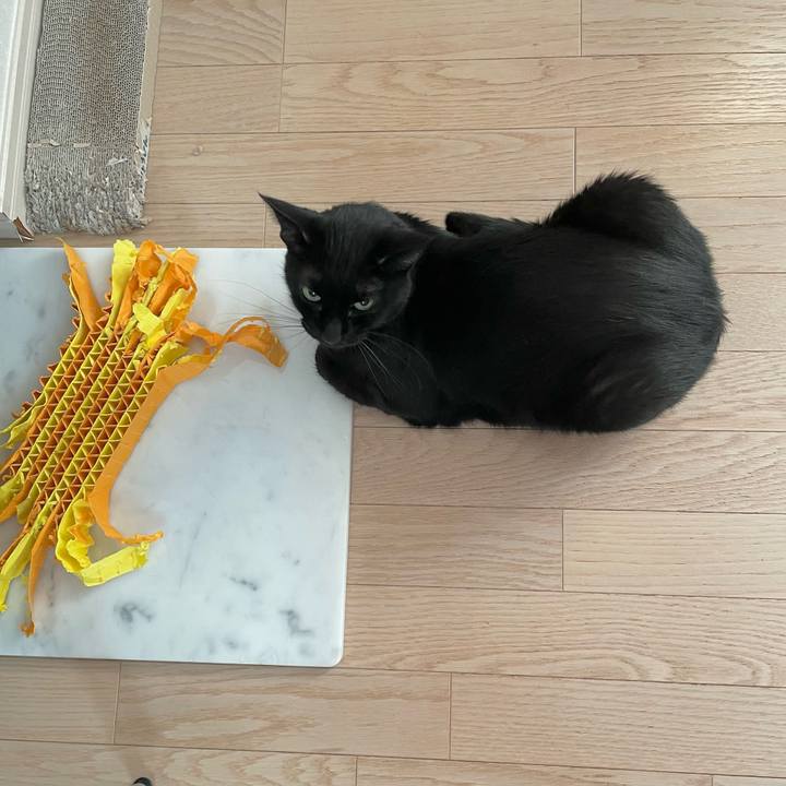 A960e035 3cfd 4548 8a59 8dd036a9ccaa 1691063923400