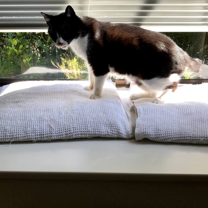 A960ffec e5c9 4aa0 899f dc38c62debee 1531288560524