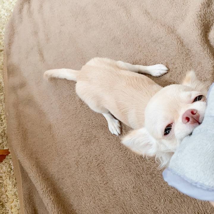 A961020b c3b0 493f 8544 b21bf73c06ba 1595989569047