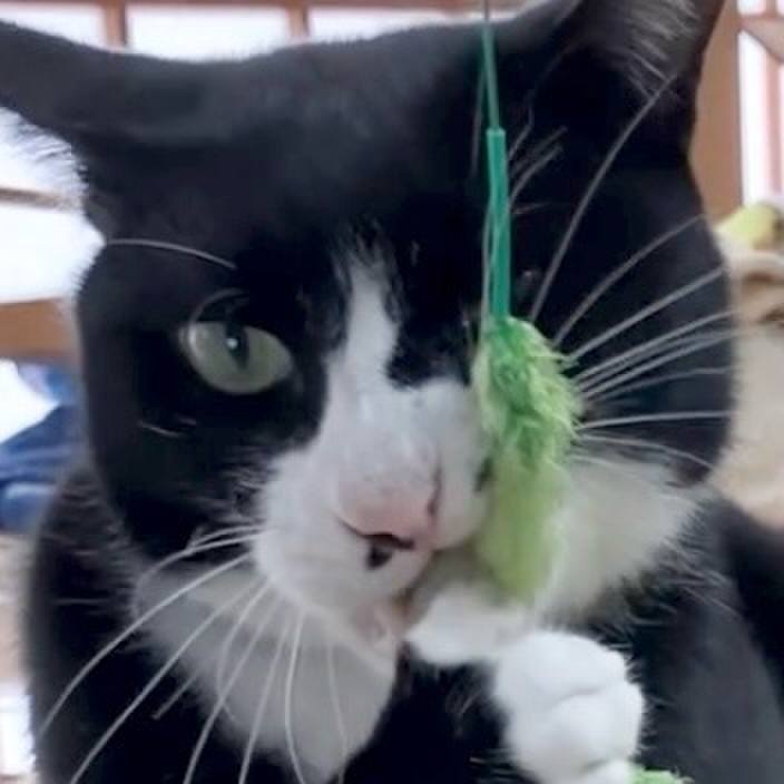 A96116eb acf8 4ff8 8f86 bbd49a3934b0 1728013911185