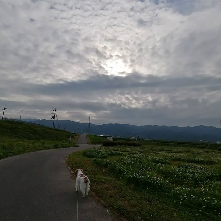 A9612740 2b1f 45c6 9072 7f5f749bf51e 1620967426781