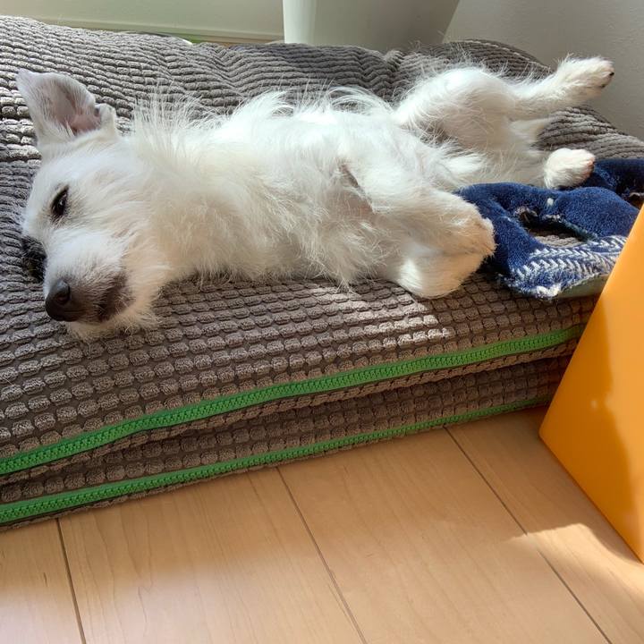 A9615daa 5ecf 498c a9a4 f8e373c13127 1553470640788