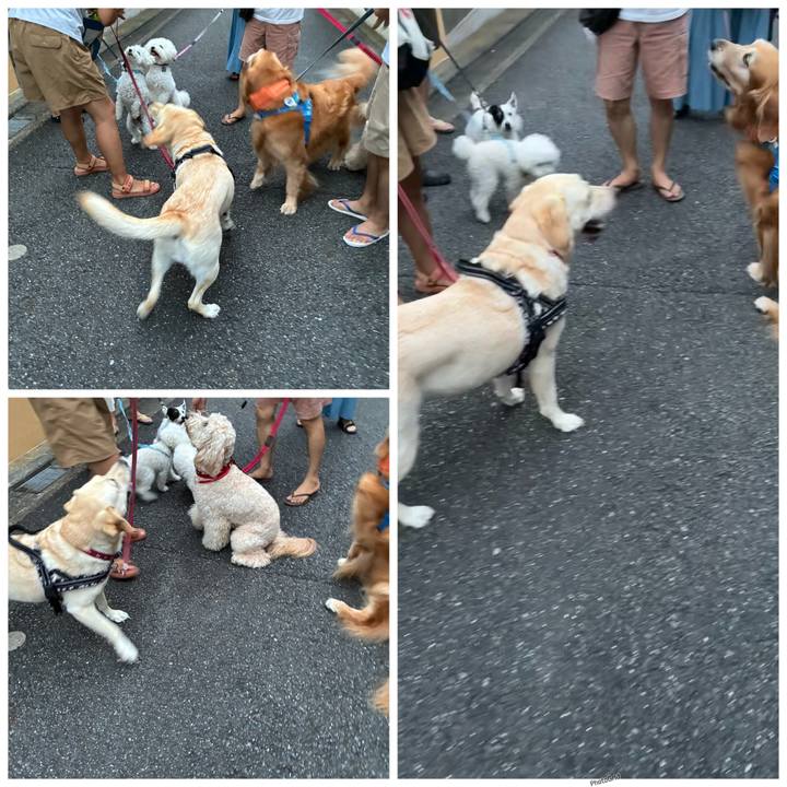 A961a85e 904b 4f57 9514 98357565450b 1757929004767