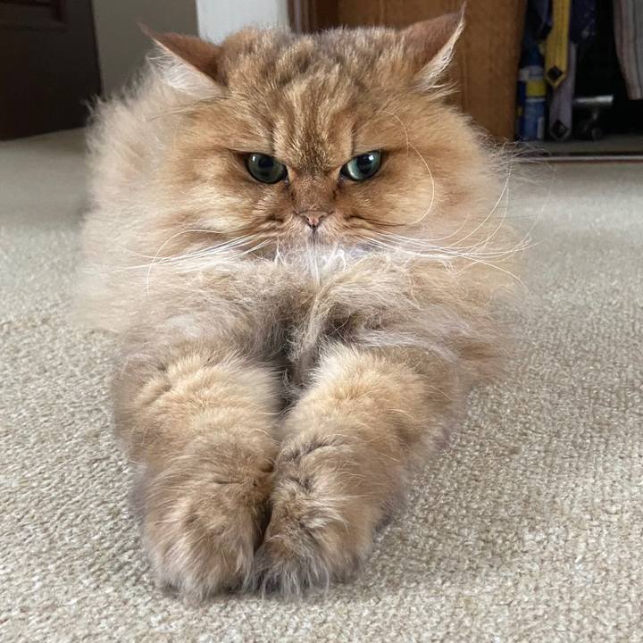 A961fcac 9844 498d 8e5f 06adf240900e 1623889595097