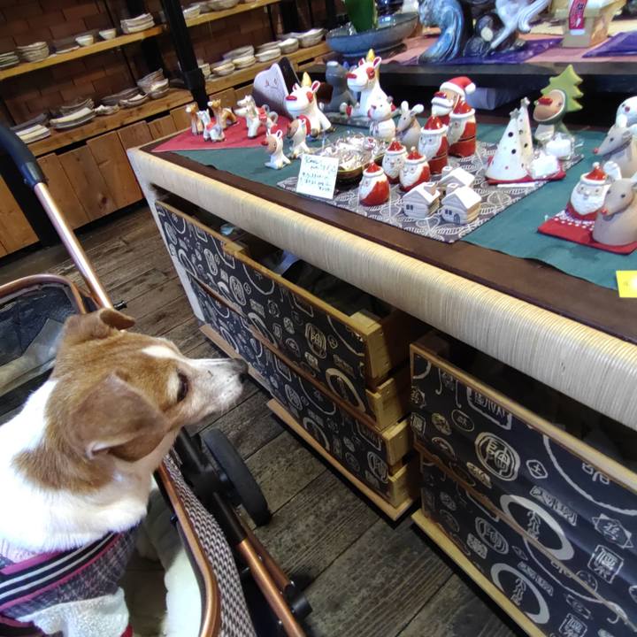 A9623a97 d1cc 4839 8837 542d45beaef2 1764508396197