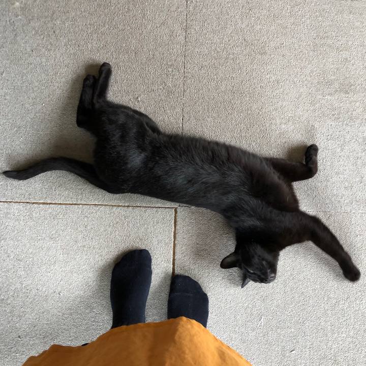 A9625484 57bd 4589 8329 7dab7e3c3fc4 1687512549807