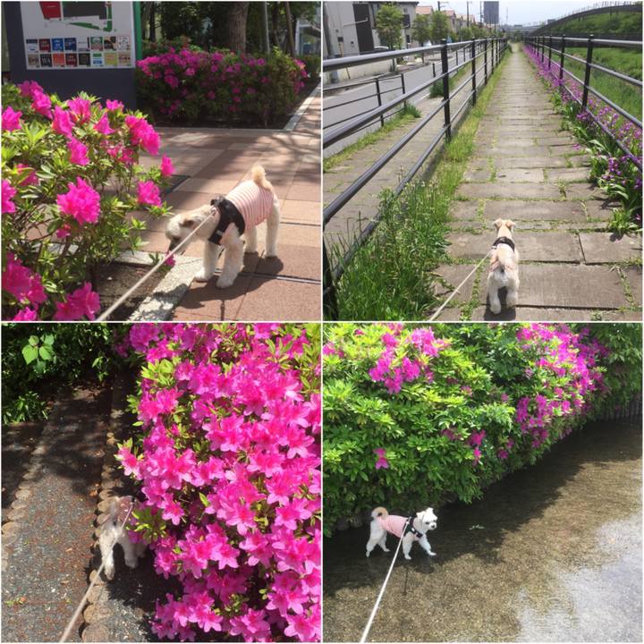 A9629e4d fb78 4dca 8341 7e4595b526be 1556863806228