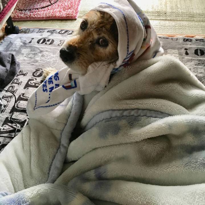 A962a282 a440 4753 ba46 f6ac6e2c48ed 1601529255444