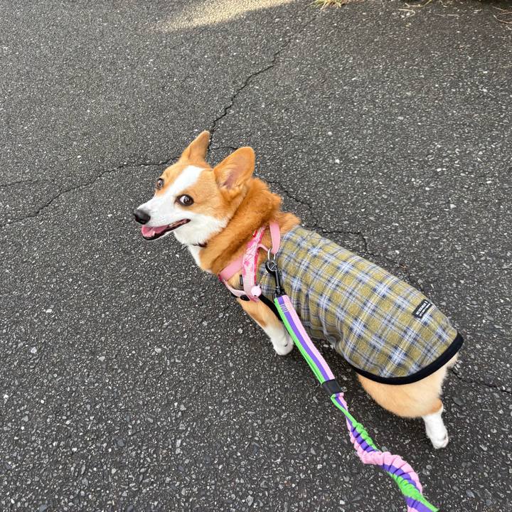 A962a9fc 6d2f 4067 bed0 b4ba3672f126 1760745074172