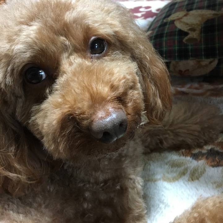 A962f9da fa31 4ba9 819a 79baac205983 1522138773246