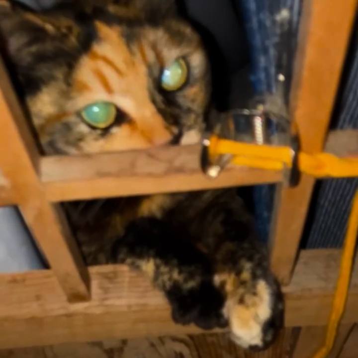 A96320e6 f461 46e1 bffd ef9e0c7ab9e8 1738700616431