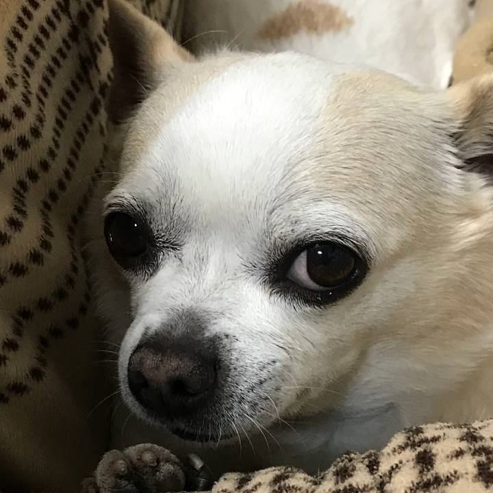 A9633f8a 1605 431d aaba 0c40c315f1cc 1518956188593