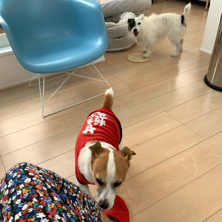 A96361de 8e07 412e a65e 9aa46631a52b 1628645966515