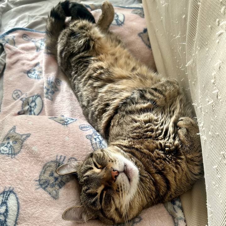 A9637db9 593e 45c0 afc9 a8ed7504f0d5 1769566178186