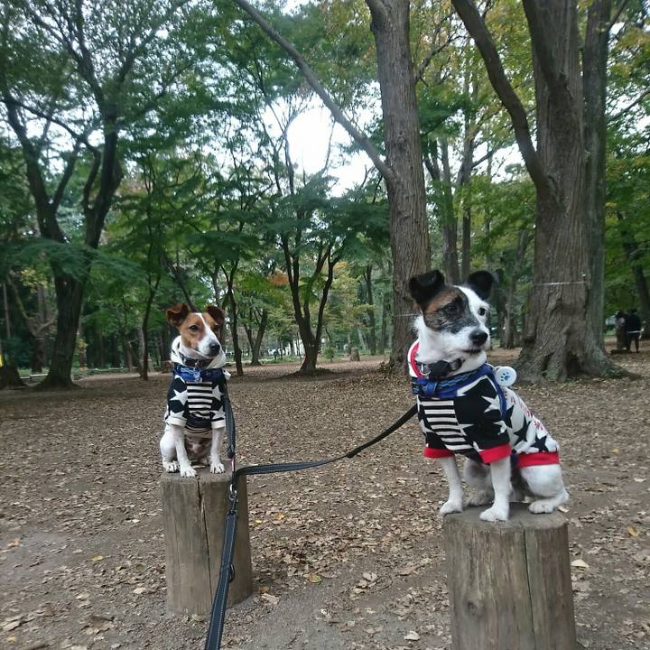 A963ac9c 83cf 4249 973f f542a4320b9f 1541297742775