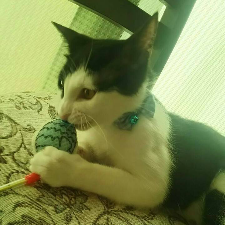 A963aea4 f03c 4efe b980 56c376162cae 1516145624835