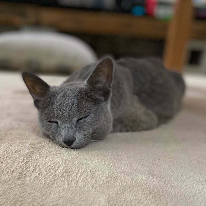 A96405c0 ff39 4737 9a0a 645041c8378d 1634174901992