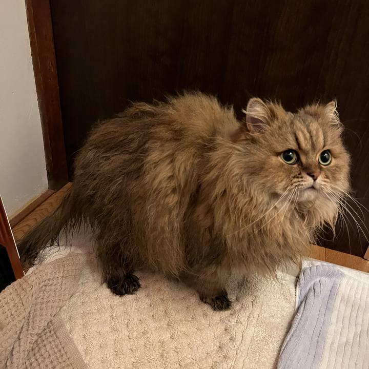 A9640be2 617d 4e1d a44c 8ff9ba94db59 1638190002029