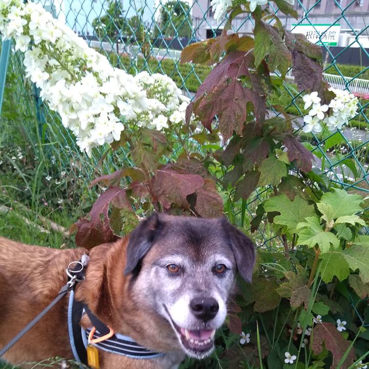 A9641612 bed7 4ab5 b414 525e671cc494 1559732091906