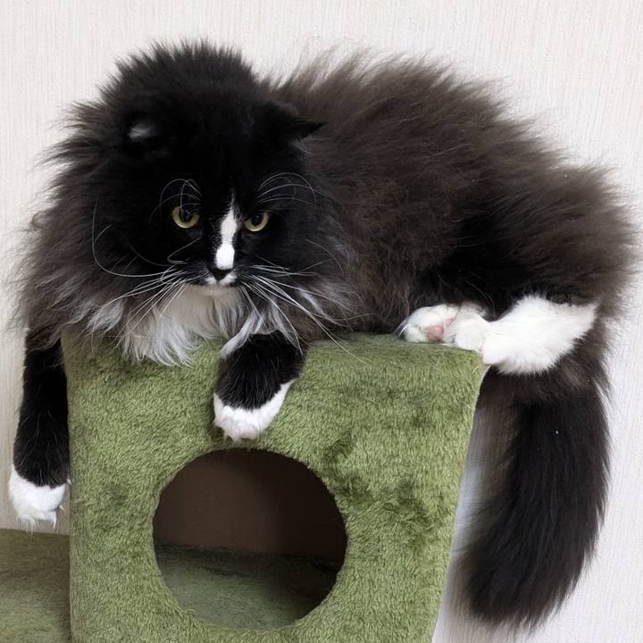 A9643388 3c38 4191 896c f9779248cf5c 1734259289521