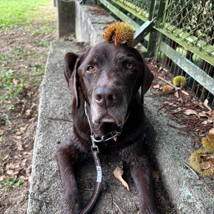 A9645c5a 46e9 4b95 b590 39a800196f51 1758976804442